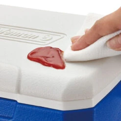 Coleman Performance 5QT Personal Cooler 9 Coleman Performance 5QT Personal Cooler -Camp Haven Sales k46f35c6c2c6dd2c6e9c46849a7f097f7