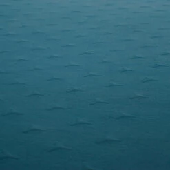 Quechua SELF -Camp Haven Sales k4e1c643e95548c42927b293f6d37b7a1