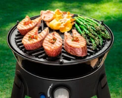 Cadac BBQ Grid 30 -Camp Haven Sales k99ed97a2ecfce9685eca27d9856eb126