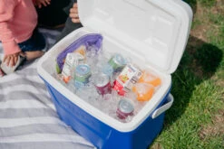 IGLOO Laguna 28QT Cool Box Red -Camp Haven Sales kb309529a331bee3c9613a50999a7df51