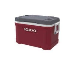 IGLOO Latitude 52QT Cool Box Red 13 IGLOO Latitude 52QT Cool Box Red -Camp Haven Sales kd151df04d57c9fc7ca9aef084985ced5